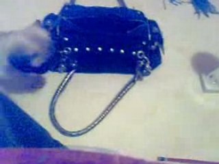 chien fou