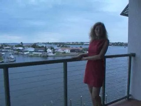 Go Tampa Rays #1 In Tampa Bay fine Coastal Living**