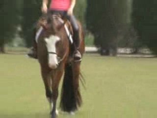 Alotta ZipnMe showing off his stuff. We hate to let him go!