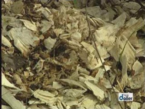 Les Castors dans la Vallée de la Doller