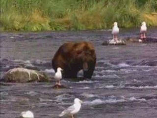 Videos of This World (Guru Josh Project music)