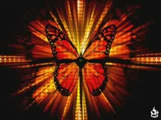 Ddr butterfly remix