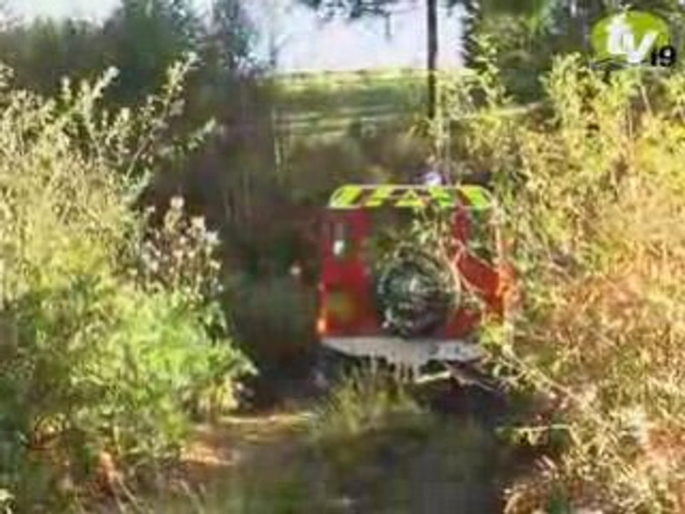 exercice " feux de fôrets " pour les Sapeurs Pompiers du 19