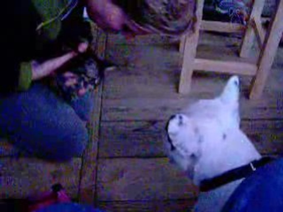 Photo 090