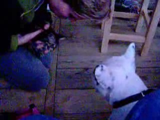 Photo 090