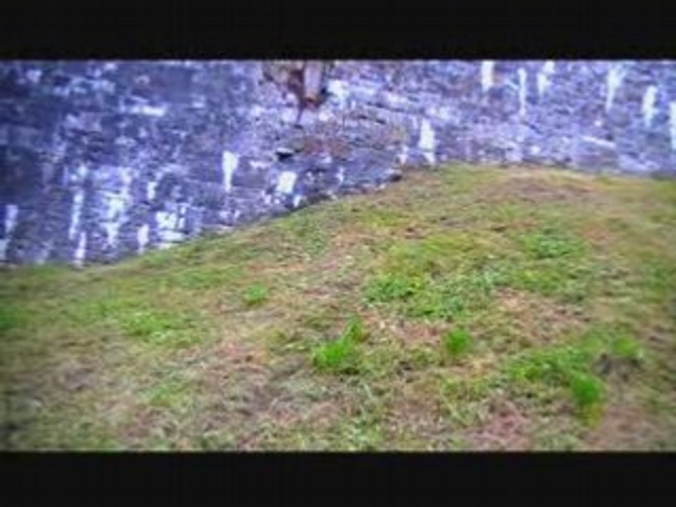 CTD7 - Inspiration [part one]