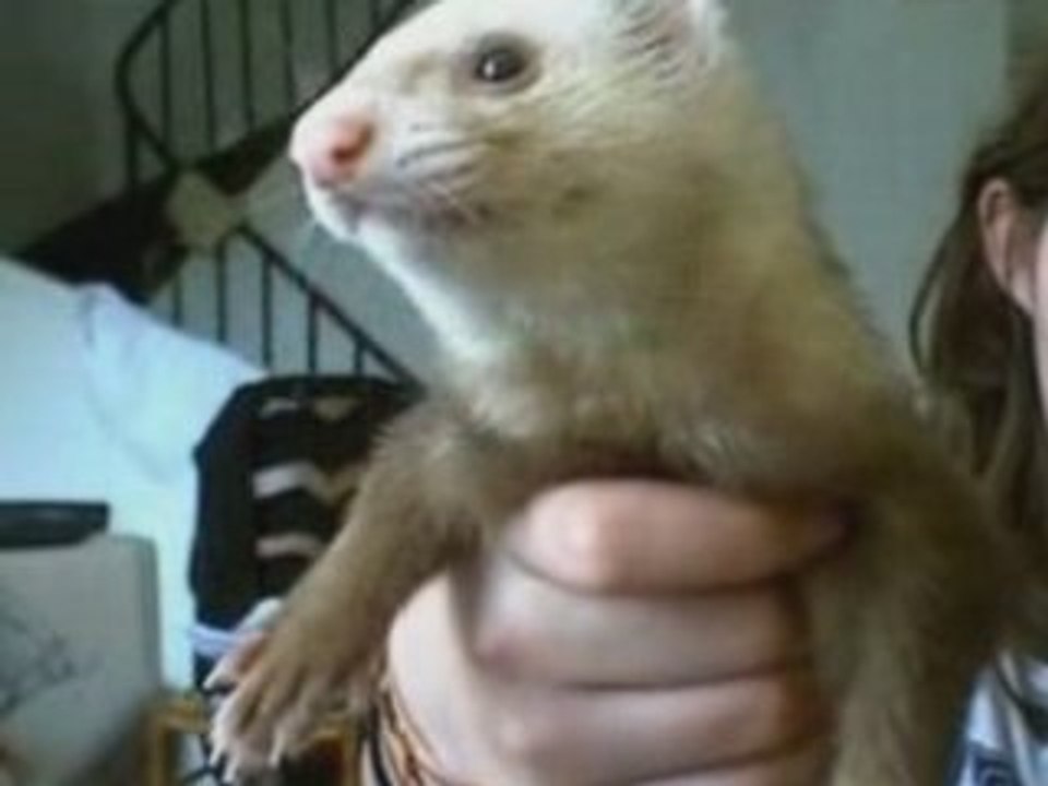 Matis chante maman XY - Mademoiselle K