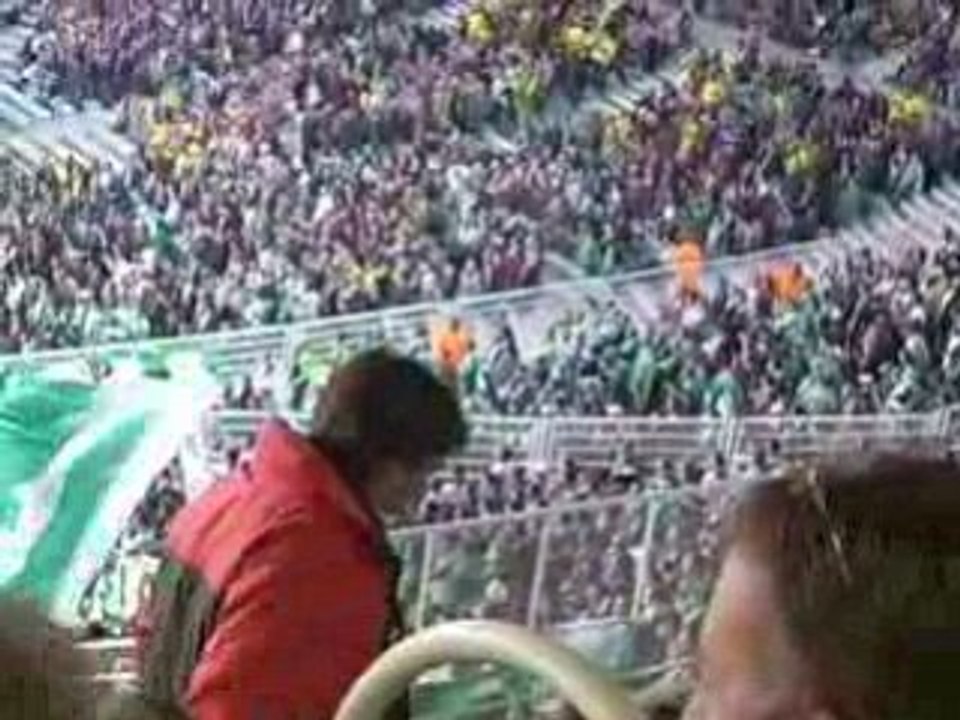 Les verts a la beaujoire