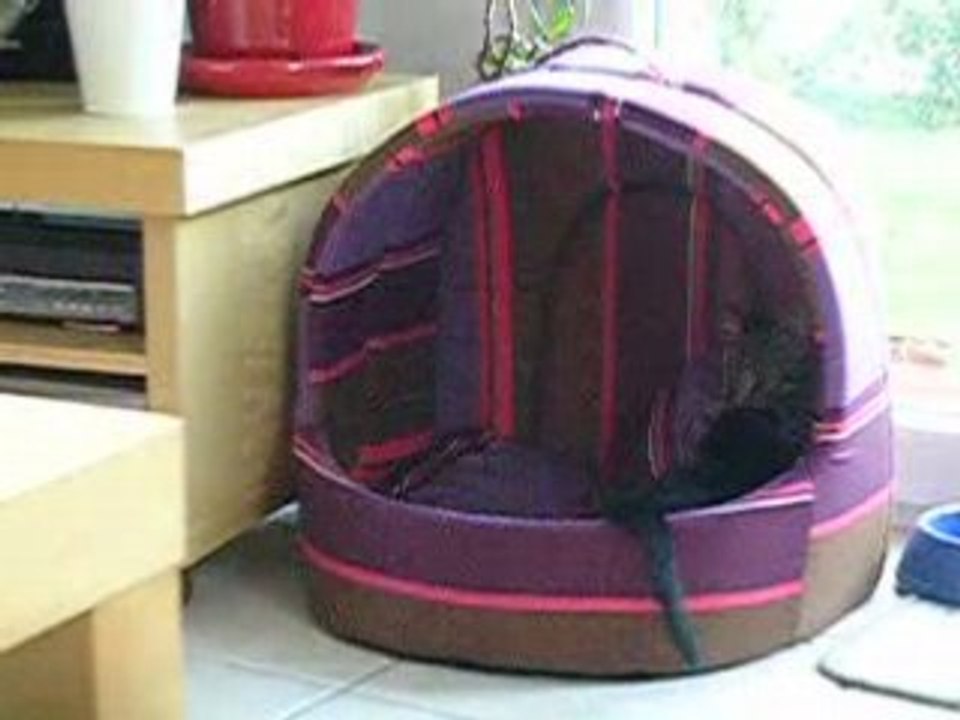 Satanas et Diabolo - 22/10/2008