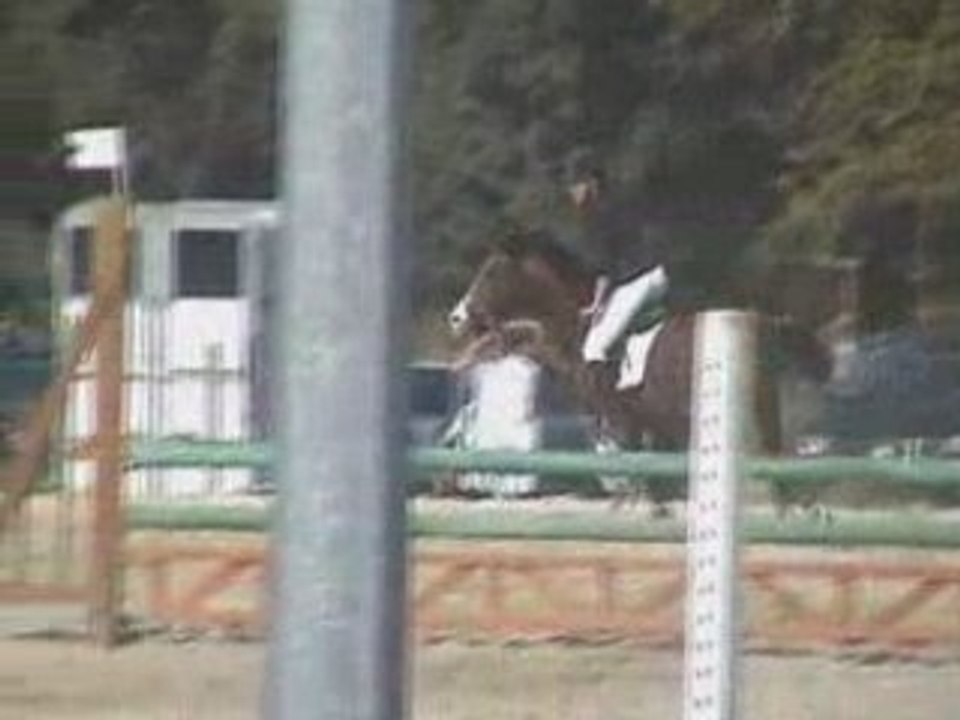 Noak concour