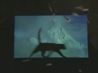 Interview Emir Kusturitsa by les Guignols