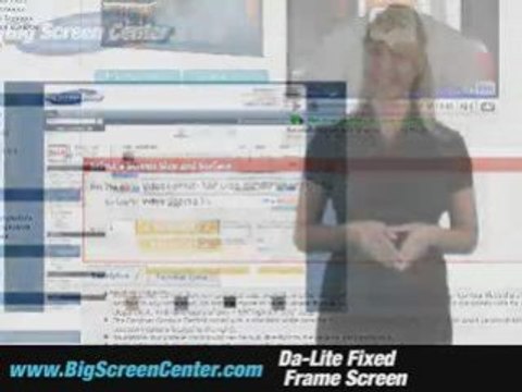 Da-Lite Fixed Frame Projector Screen