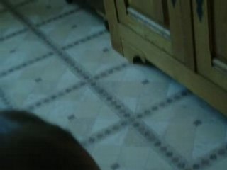 mon lapin et moi