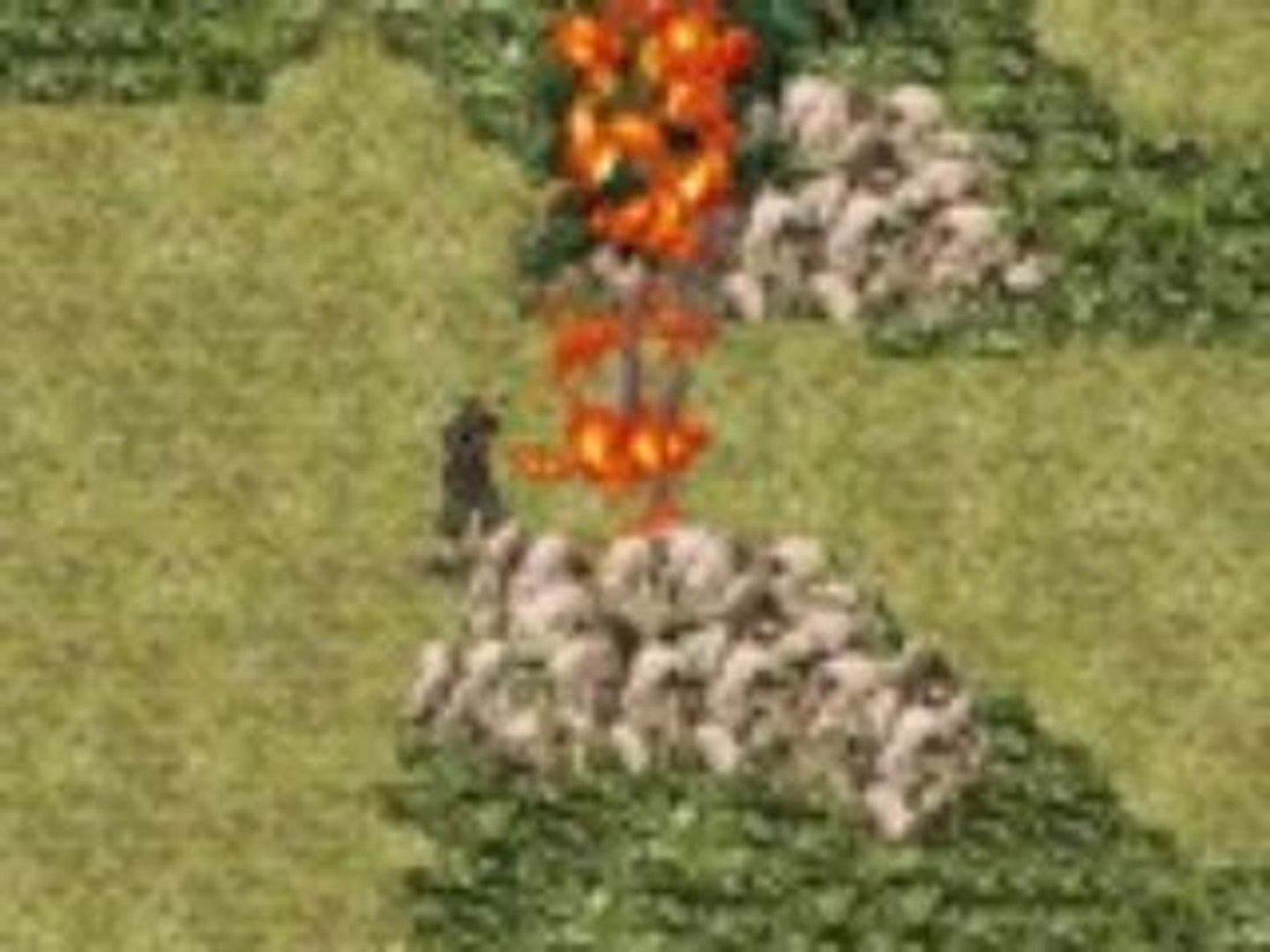 ⁣Call Of Duty : World at War pour mobile