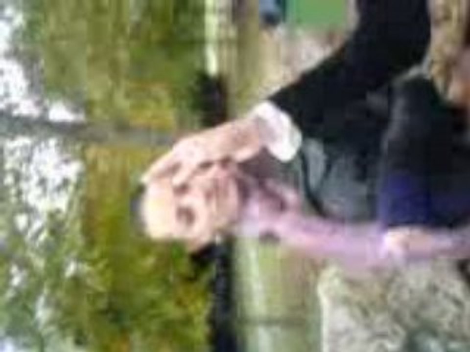Dans Les Champs 4