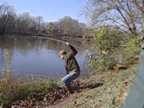 carpe miroir dans un etang de la loire