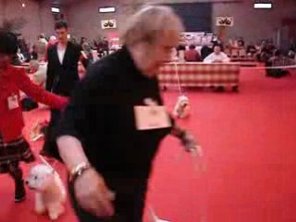 MOV02193