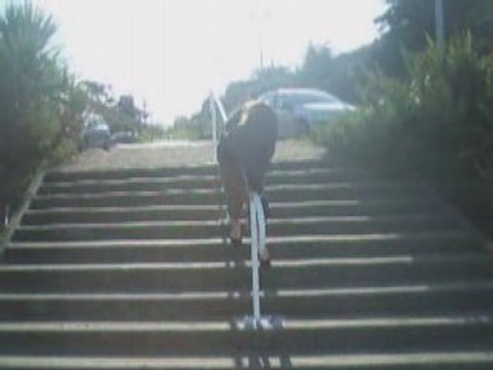 SansTitre_0023