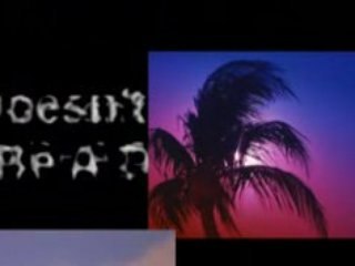 Easy Home Based Business Florida Tampa, Naples, Sarasota