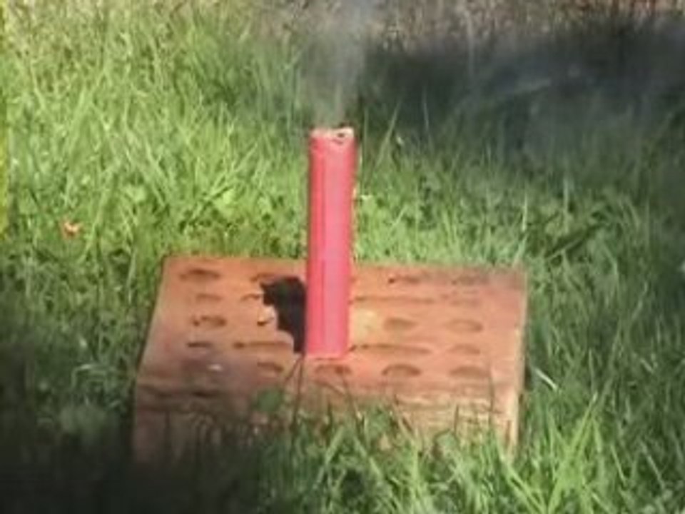 BISON 3