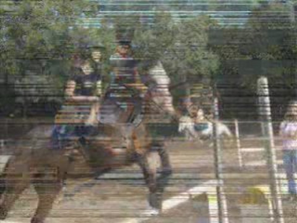 Cours d'équitation du 15 octobre