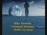 Woodland Hills criminal appeals lawyer, felony attorney