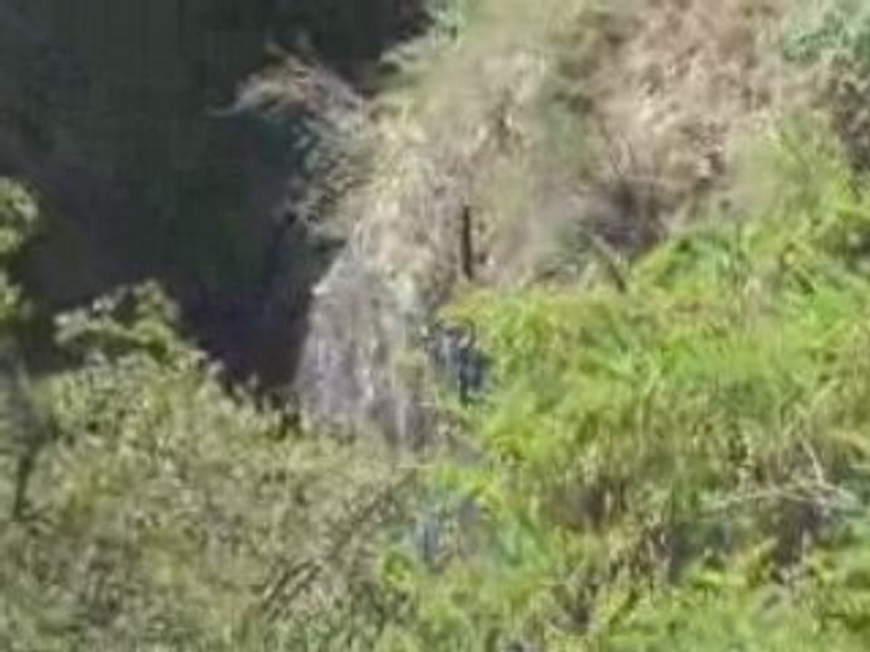 Erwan, saut à l'élastique