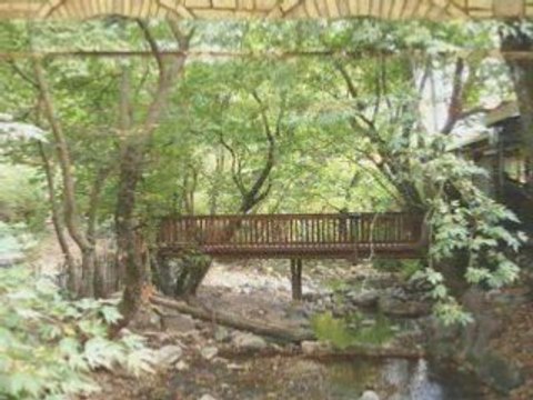 ΠΑΛΙ ΑΠ' ΤΗΝ ΑΡΧΗ