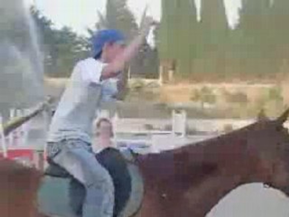 La Star a cheval