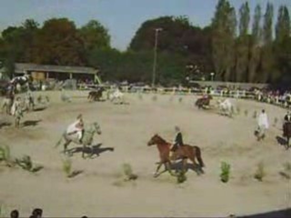 Portes ouvertes CECA 2008