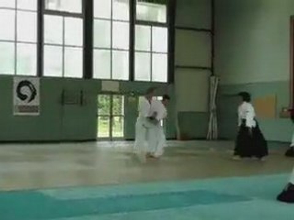 Aikido Iwama Ryu