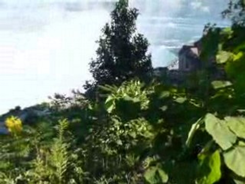 Les chutes du Niagara