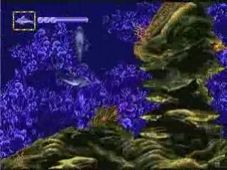 Lets Play Ecco  Jr: 2