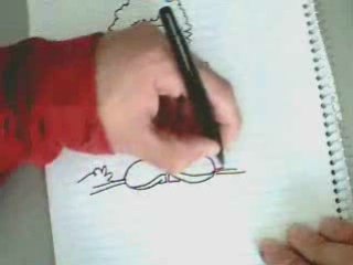 Dessins cochons