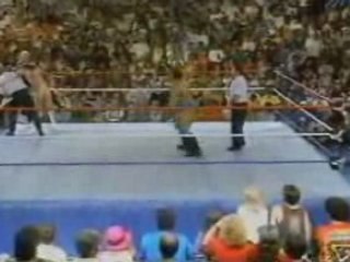 Wwe Sensational Sherri Vs Luna Vachon