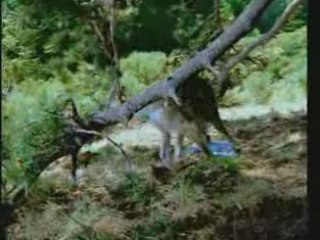 Valvert. L'eau à l'état sauvage