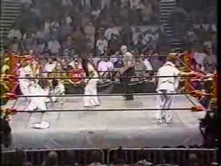 Tna Lingerie Battle Royal