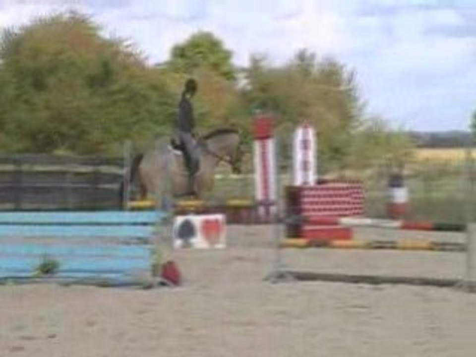 Calypso galop