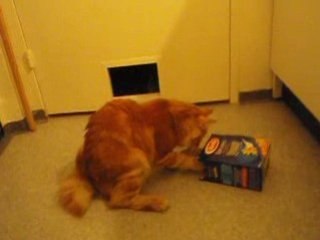 Daewyn aime les pâtes Barilla