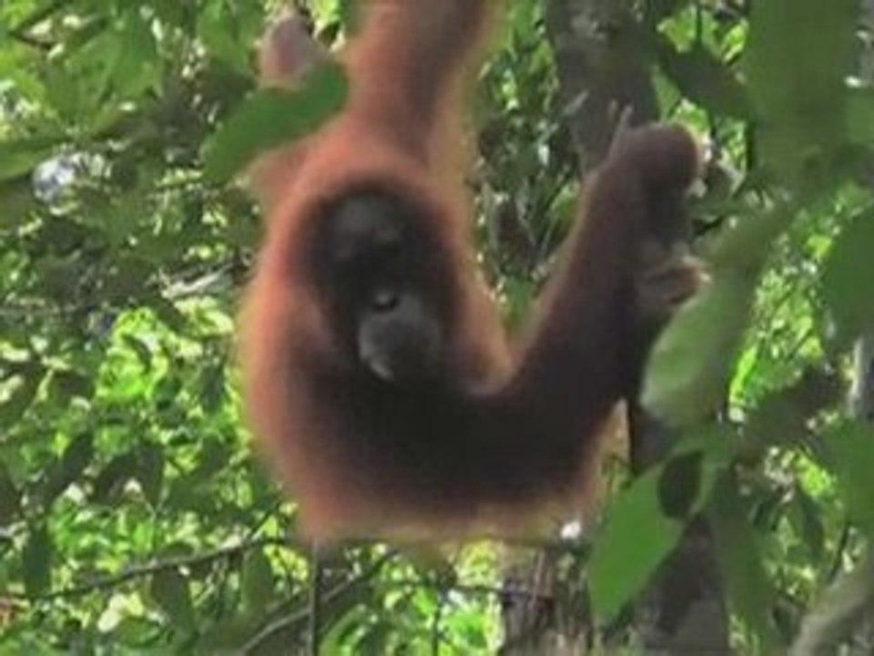 The Gap Year - Week 16 Highlights