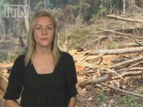 Algae could be the key to creating more fuels