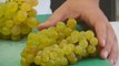 Academia Barilla Chef presents Italian Table Grapes