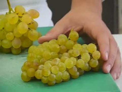 Academia Barilla Chef presents Italian Table Grapes