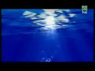 eurovision 2006 hard rock hallelujah