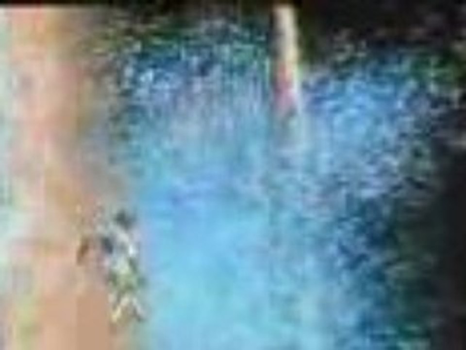 Zidane mdr mdr zidane