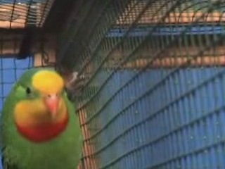 Dans les stands Expo gravelines 2008