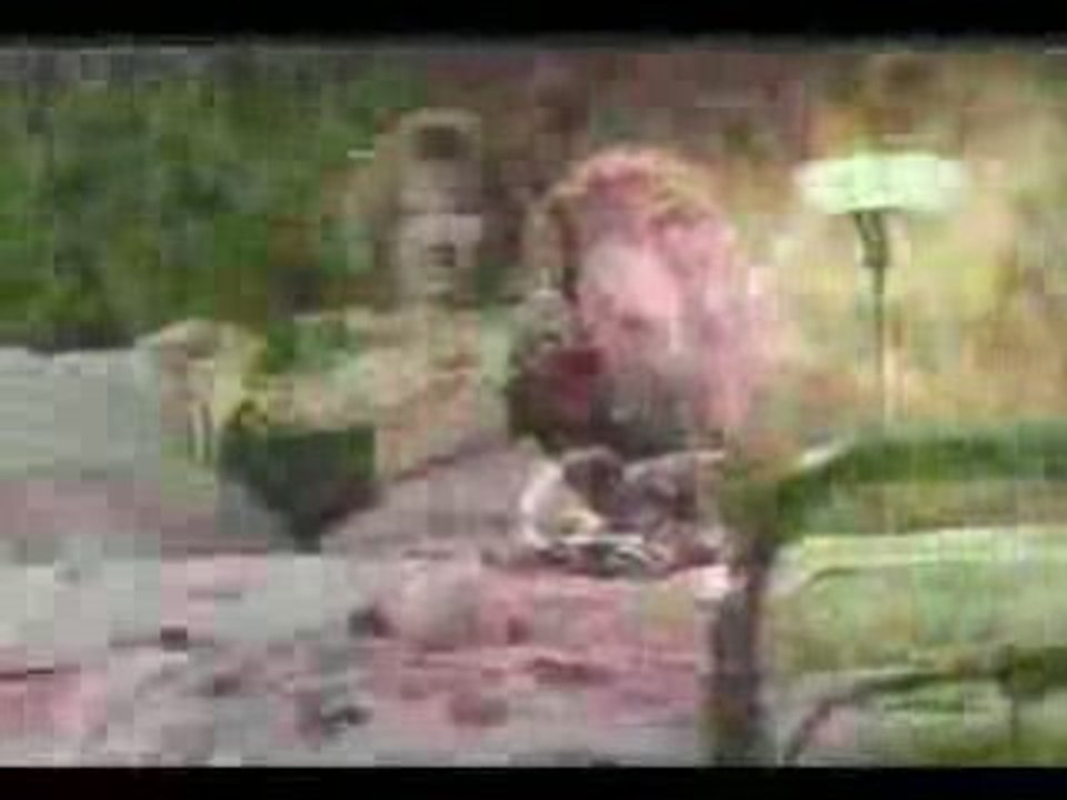 AMBER - THIS IS YOUR NIGHT