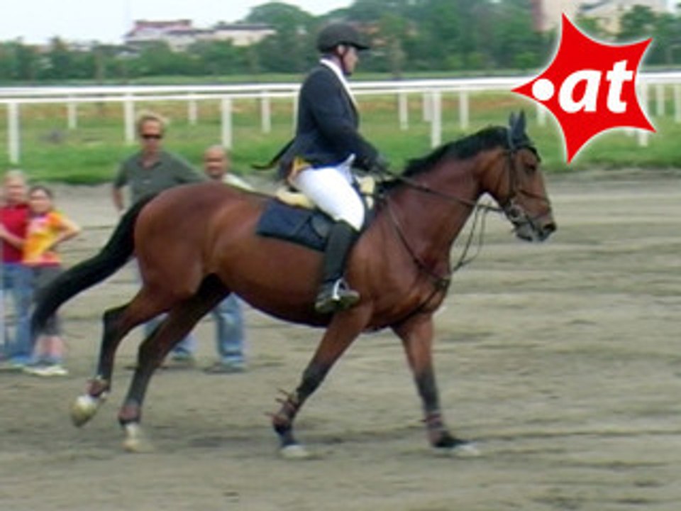 Rene Karlovats, Springreiten, Kottingbrunn (2008-041)