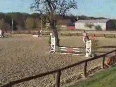 Nouchka de Beauregard Ferme equestre de beauregard