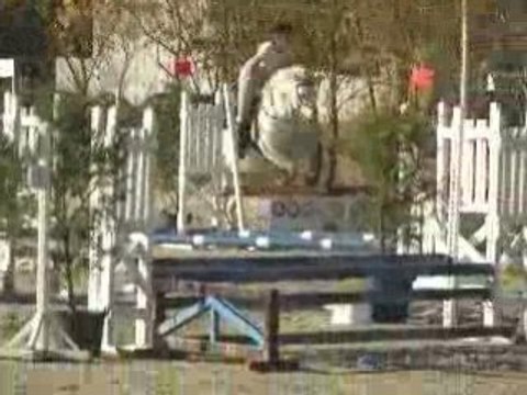 Nouchka de Beauregard ferme equestre de beauregard